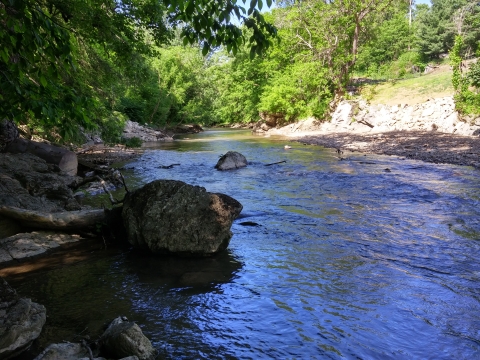 Middle Fork of the Holston River in Virginia at the former Marion Ice Plant dam site post-restoration. Large boulders frame the left side of the river with overhanging tree branches as the water now flows unimpeded after the removal of the dam.
