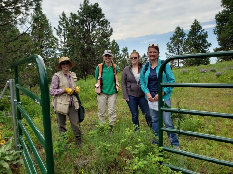 Four ladies are standing in a field by a green gate