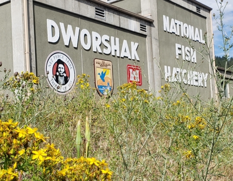 Dworshak Feed storage building with our partner logos displayed on the building. Yellow wildflowers can be seen in the foreground. 