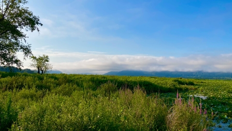 View from Pine Creek Dike at Trempealeau National Wildlife Refuge