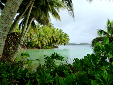 Lush, green trees encircle a lagoon that is clear. The green trees reflect off the water. 