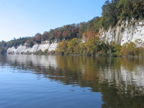 Chalk bluffs reflecting off the Alabama River