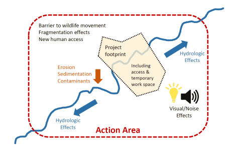 diagram depicting an action area 