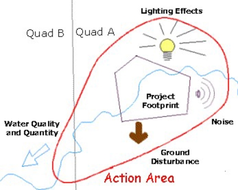 Illustration defining action area as inclusive of the project footprint, plus areas that may be impacted by the project, by light, noise, ground disturbance, etc.