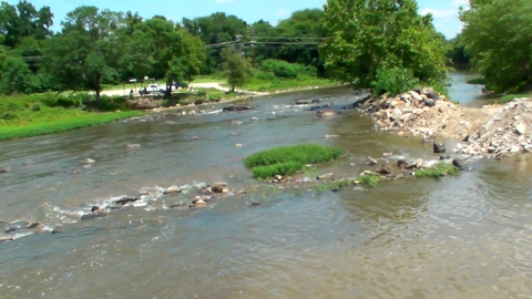 Appomattox River after Harvell Dam removed.
