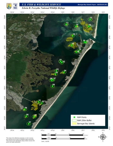 New Jersey Bay Islands Initiative - Barnegat Bay Islands Map