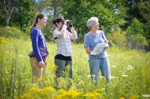 Three women stand in a field watching for birds during the afternoon in late summer. The field is full of golden rod and queen anne's lace flowers and tall grass. Tall trees border the edge of the field. 