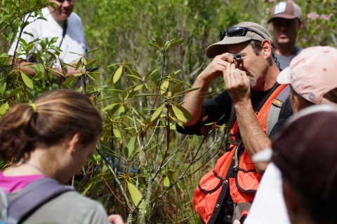 Group of biologists standing amid shrubbery, one is looking closely at part of a plant through a magnifying lens