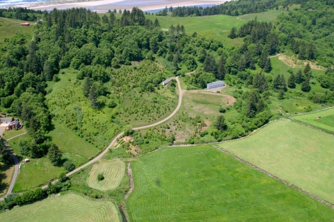 An aerial view of forest and verdant pastures at Nestucca Bay NWR