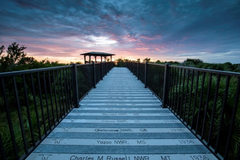 An image of a boardwalk on Centennial Trail at sunset. 
