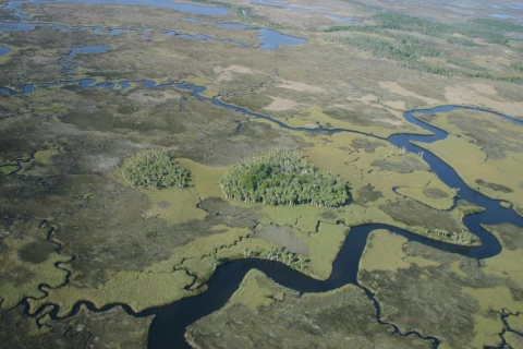 Aerial of Chassahowitzka National Wildlife Refuge 