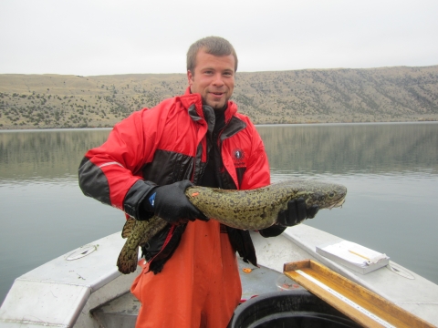 Burbot fishing exploitation study on Wind River Reservation