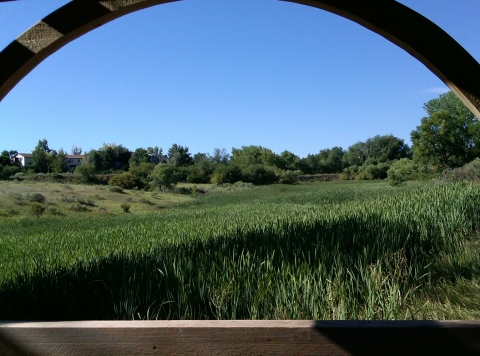Scenic photo at gazebo with view of cattails and trees and Two Ponds National Wildlife Refuge