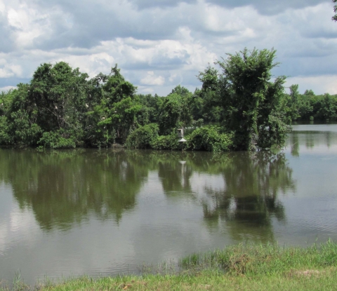 Pond with small island