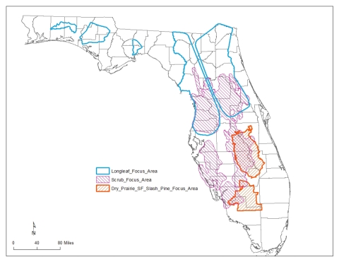 Map showing priority terrestrial areas for supporting private land conservation in Florida. Call (904) 731-3336 for more information. 