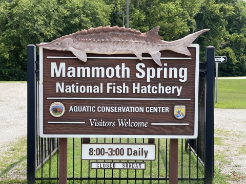 Mammoth Spring NFH Sign