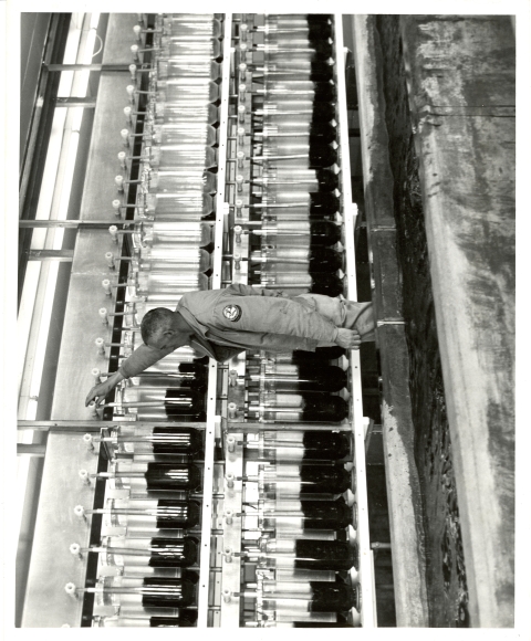 In this black and white photo from the 1960's, glass jars with fish eggs line a wall. In front of the wall is a concrete through full of water. A man in a U.S. Fish & Wildlife Service tends to an egg jar - his uniform patch can be seen on his left shoulder. 