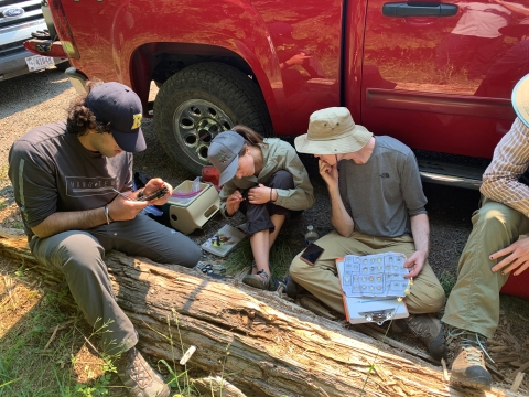 Four people sitting on the floor inspecting bee and flower samples 