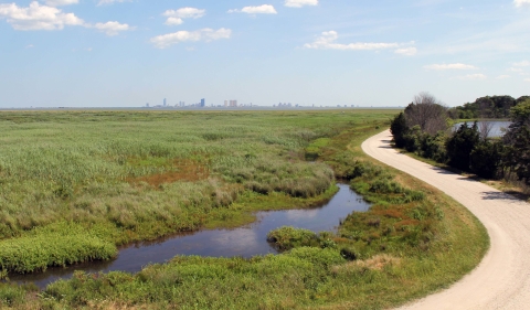 A view of Atlantic City from atop Gull Pond Tower