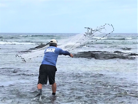 Thownet sampling for fish by staff from the Hawaii Department of Land and Natural Resources. 