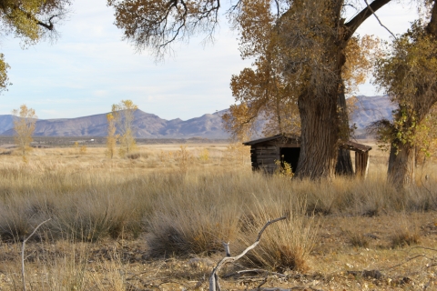 Railroad Cabin Pahranagat NWR