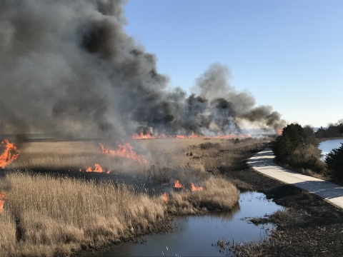 A prescribed fire burns through the marshes of West Pool, as seen from the Gull Pond Observation Tower.