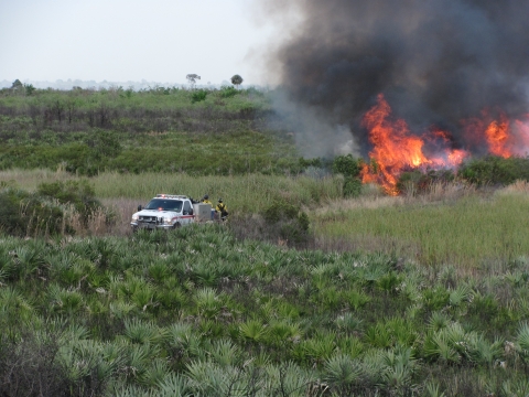 A prescribed burn.