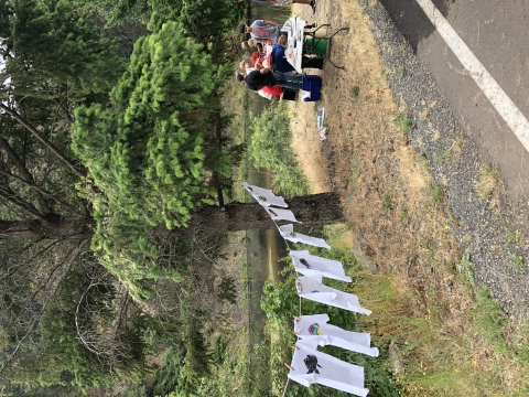 camp students make fish print T-shirts