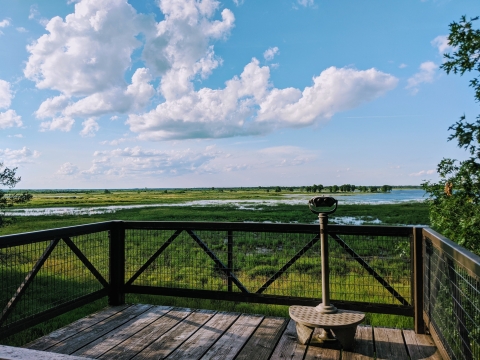 View from the top of the observation tower's deck, scope and wetlands beyond