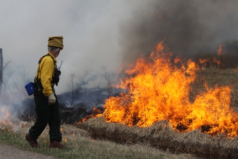 Wildland firefighter ignites and watches prescribed burn