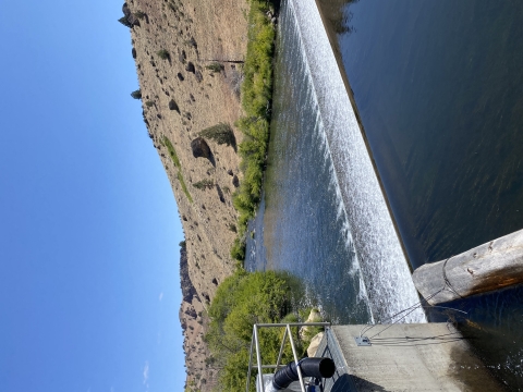 barrier dam on Warm Springs River