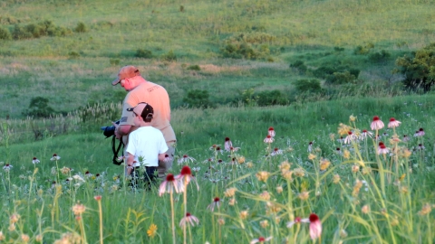 A father and son photographing wildlflowers in the summer prairie
