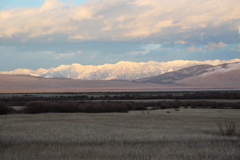 A distant snow covered mountain range as seen from a grassy valley is shown.