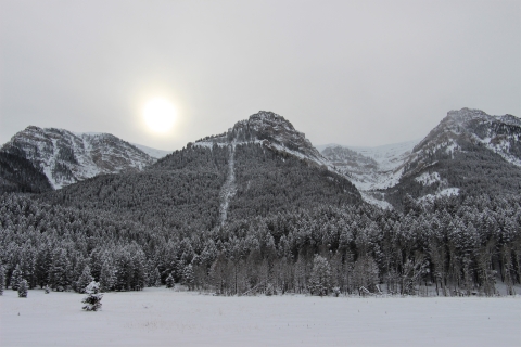 Hazy sunny December day with fresh snow in the Centennial Mountains at Red Rock Lakes National Wildlife Refuge