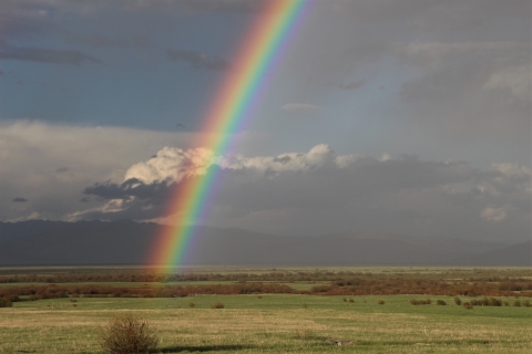 An early June rainbow in between thundershowers settles in the lush green valley of Red Rock Lakes National Wildlife Refuge