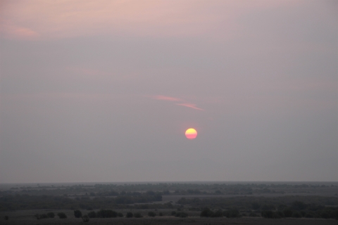 Wildfire smoke filters the sun into a colorful sphere