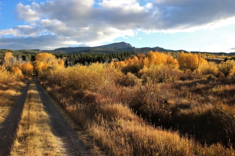 Autumn colors along Idlewild Road with Baldy Mountain in the background