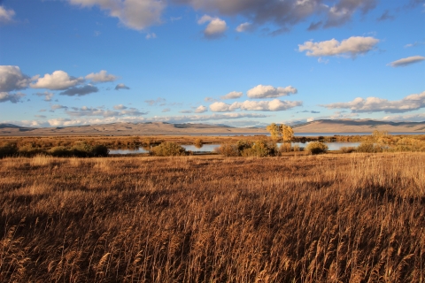 A mix of blue skies and gray clouds overlooking golden grass with a pond in the background.