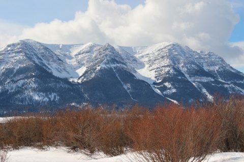 A closeup winter's view of the snowy Centennial Mountain Range as seen from the willow fen