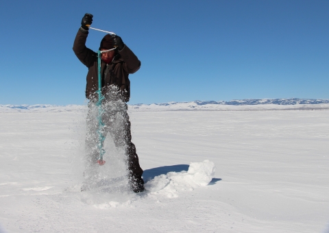 A biologist cuts a hole in the ice of a frozen snowy lake using a hand auger