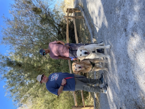 Two people, a man and woman, standing next to two dogs on leashes