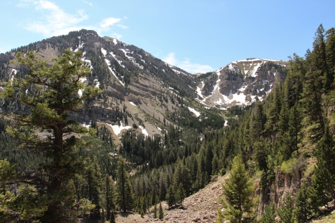 A deep view of the forest, craggy rocks, and some persistent snow under blue skies in the Centennial Mountains of Red Rock Lakes National Wildlife Refuge