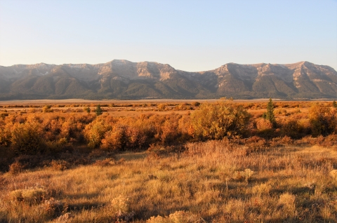 Early autumn sunrise basks the landscape in a warm and glowing yellow light with the Centennial Mountains in the background at Red Rock Lakes National Wildlife Refuge