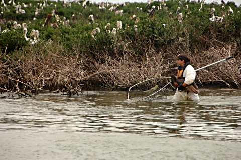 woman with net in water