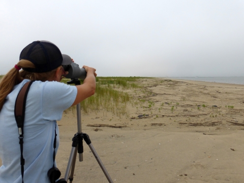 A biology intern peers through a scope towards the shoreline
