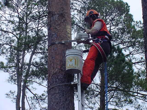 What We Do At Louisiana ES