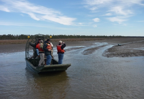 Wetland Restoration Projects At Louisiana ES