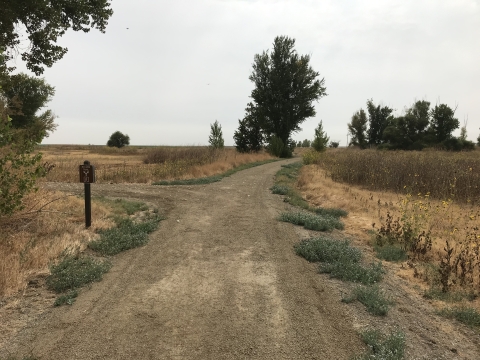 Gravel trail with fork in the road.