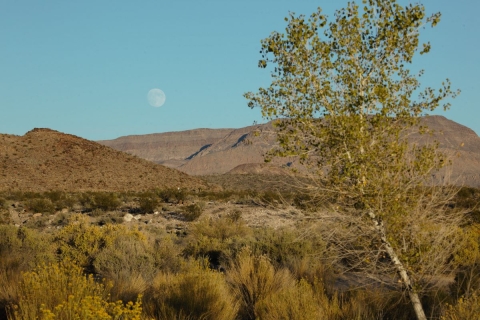 Moon and Mountains Pahranagat NWR