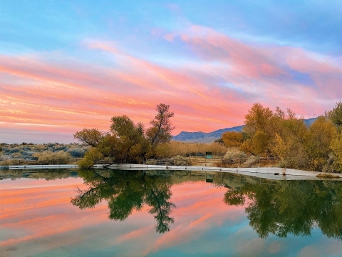 Bright pink clouds reflecting on a pond